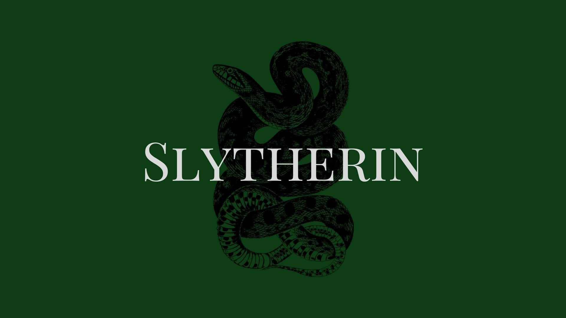 ¿Quién prevalecerá en la batalla épica entre Gryffindor y Slytherin? Fondos de pantalla
