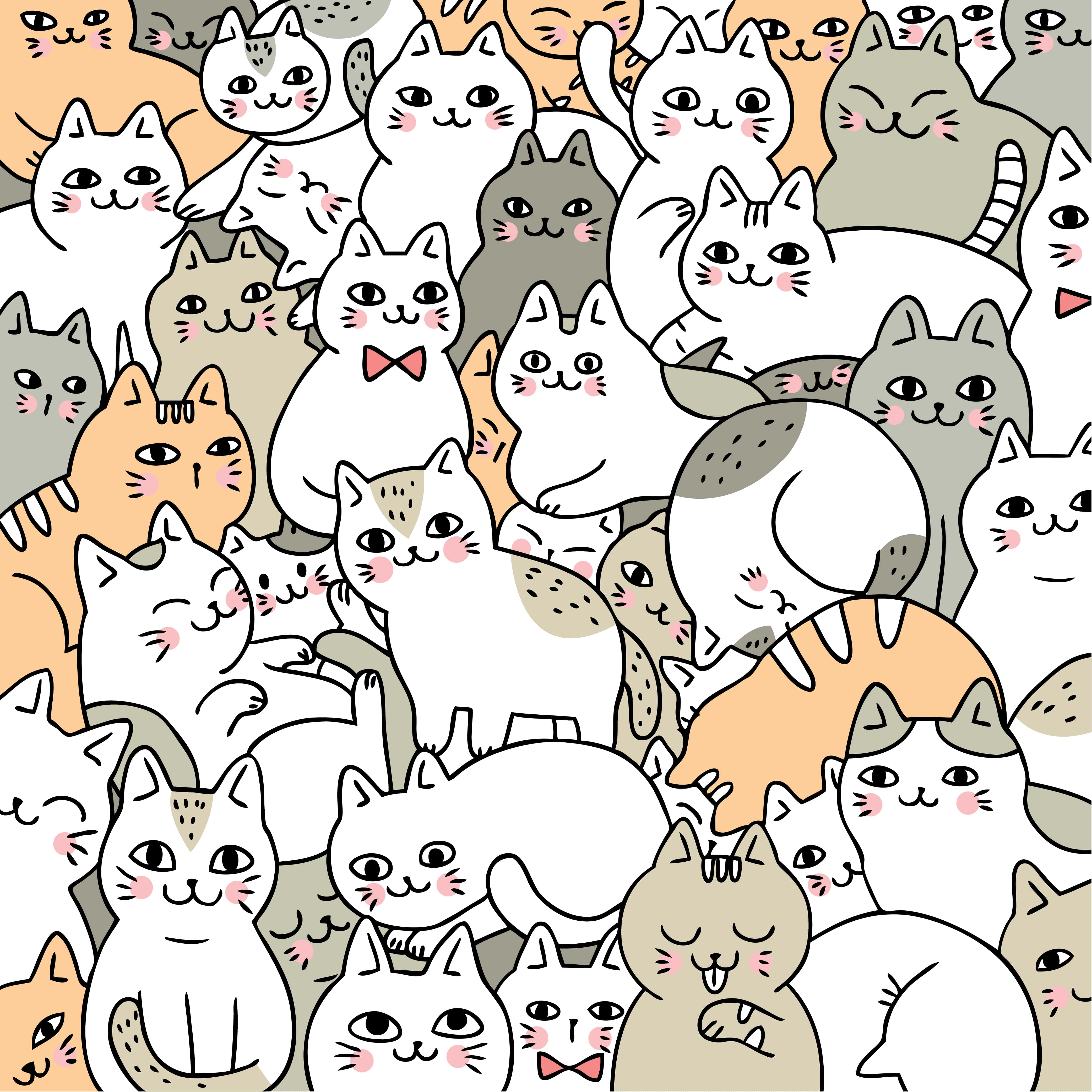¿Quién puede resistirse a un gato lindo? Fondos de pantalla