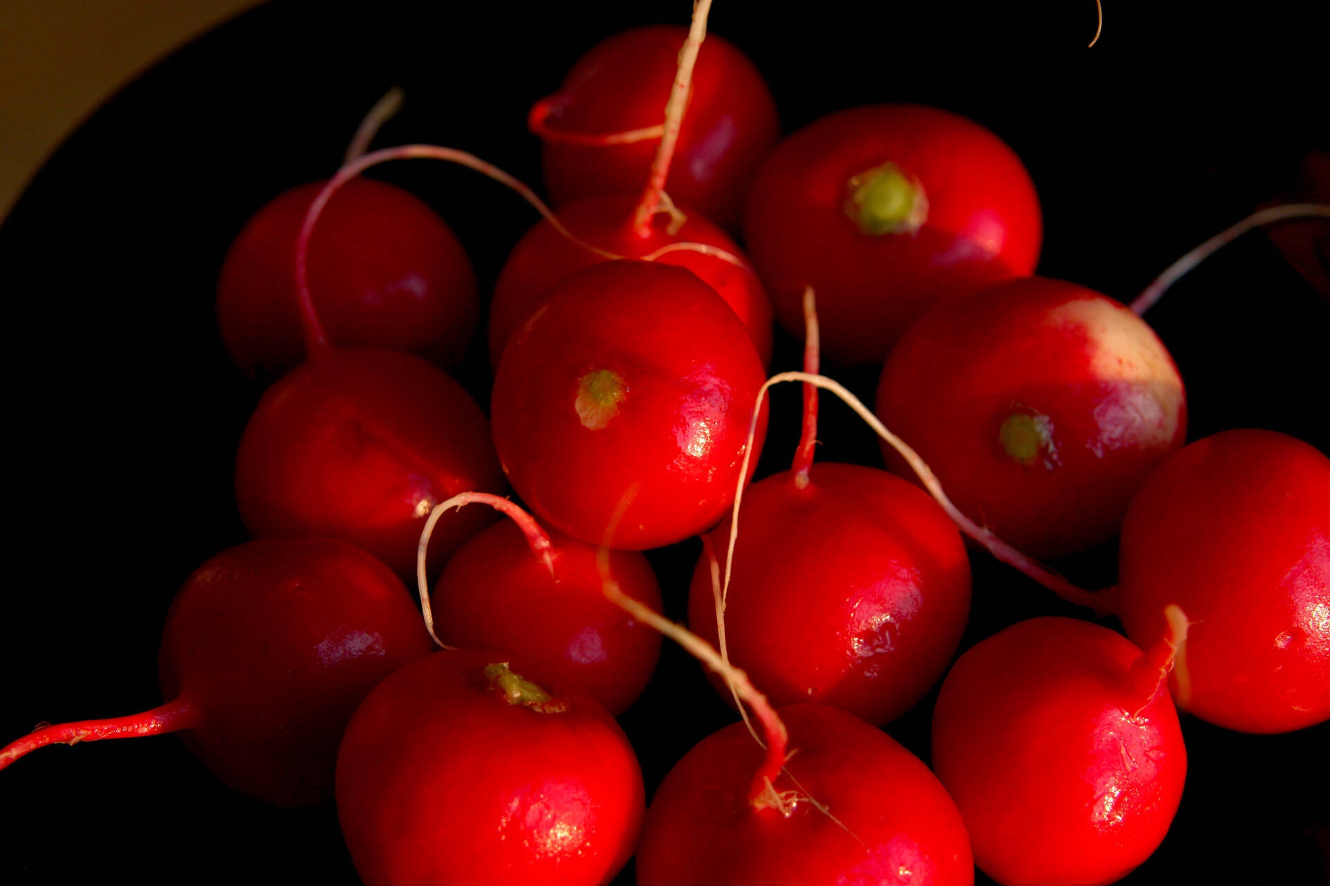 Rábano globo cereza carmesí que provoca antojo Fondos de pantalla