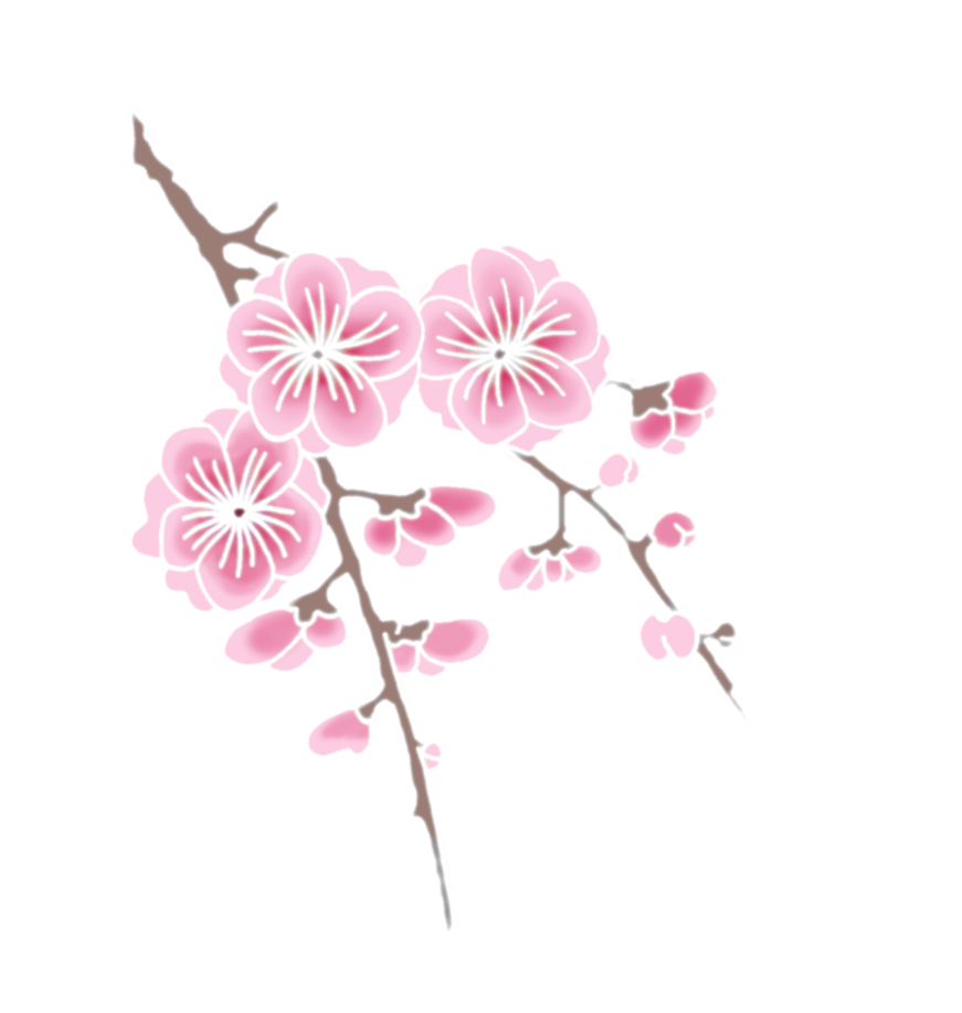 Rama de Cerezo en Flor Fondos de pantalla
