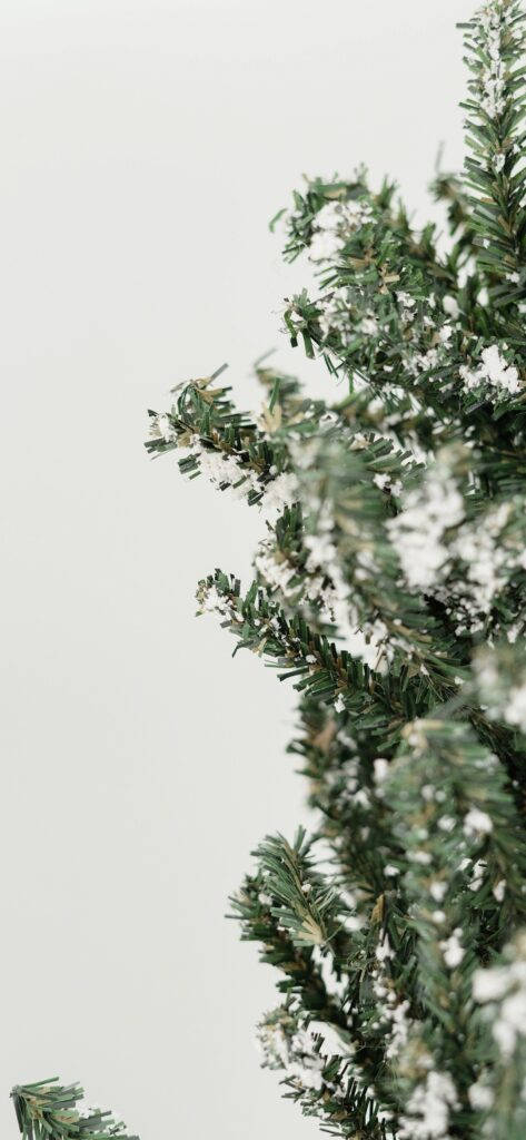 Ramas de pino navideñas minimalistas Fondos de pantalla