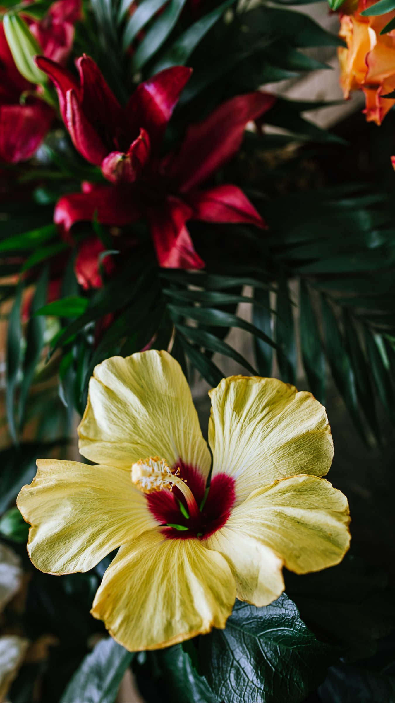 Ramo de flor de hibisco amarillo Fondos de pantalla