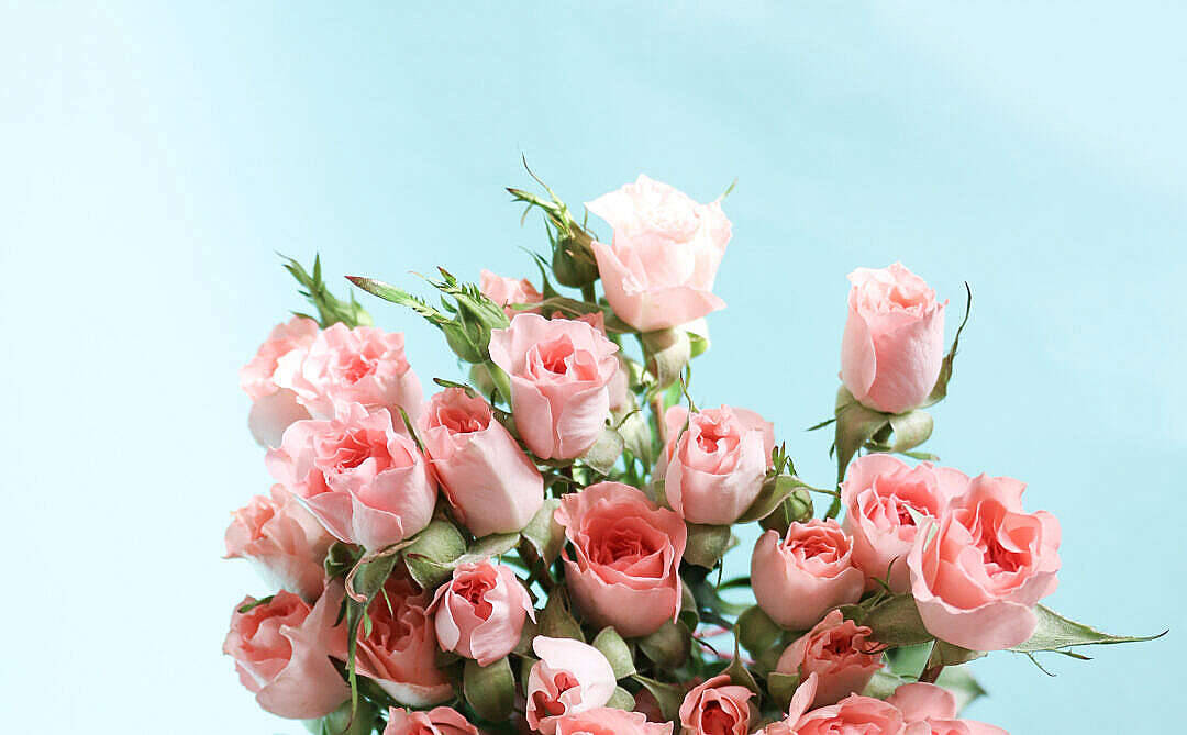 Ramo de flores en estética rosa pastel Fondos de pantalla