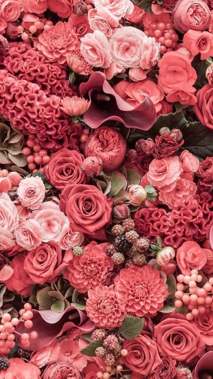 Ramo de Flores Rosadas Brillantes Fondos de pantalla