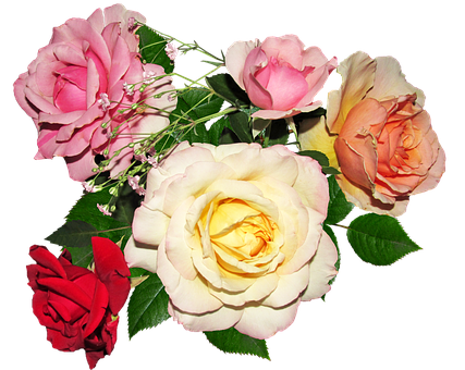 Ramo de Rosas de Colores Variados Fondos de pantalla