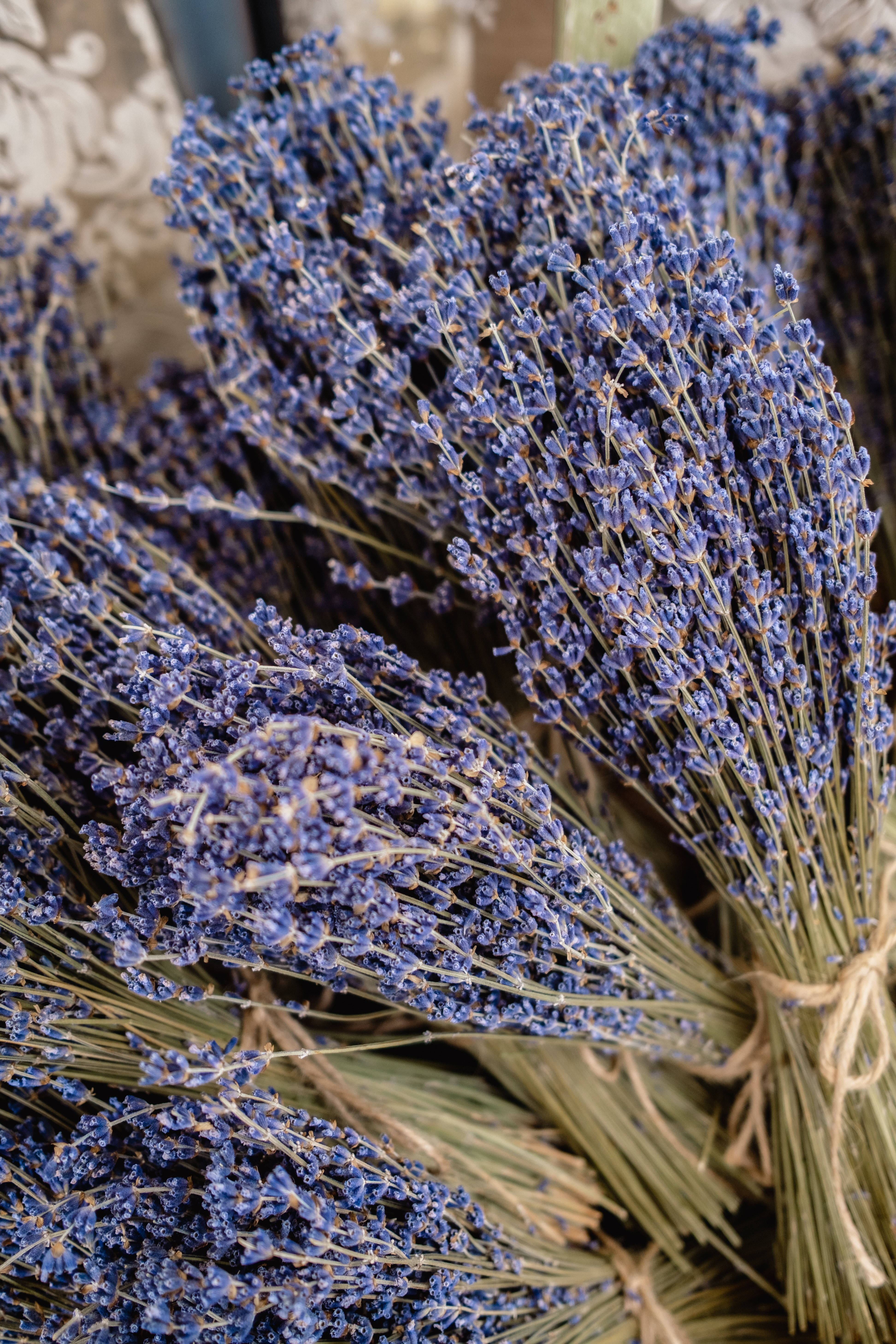 Ramo estético de flores lavanda Fondos de pantalla