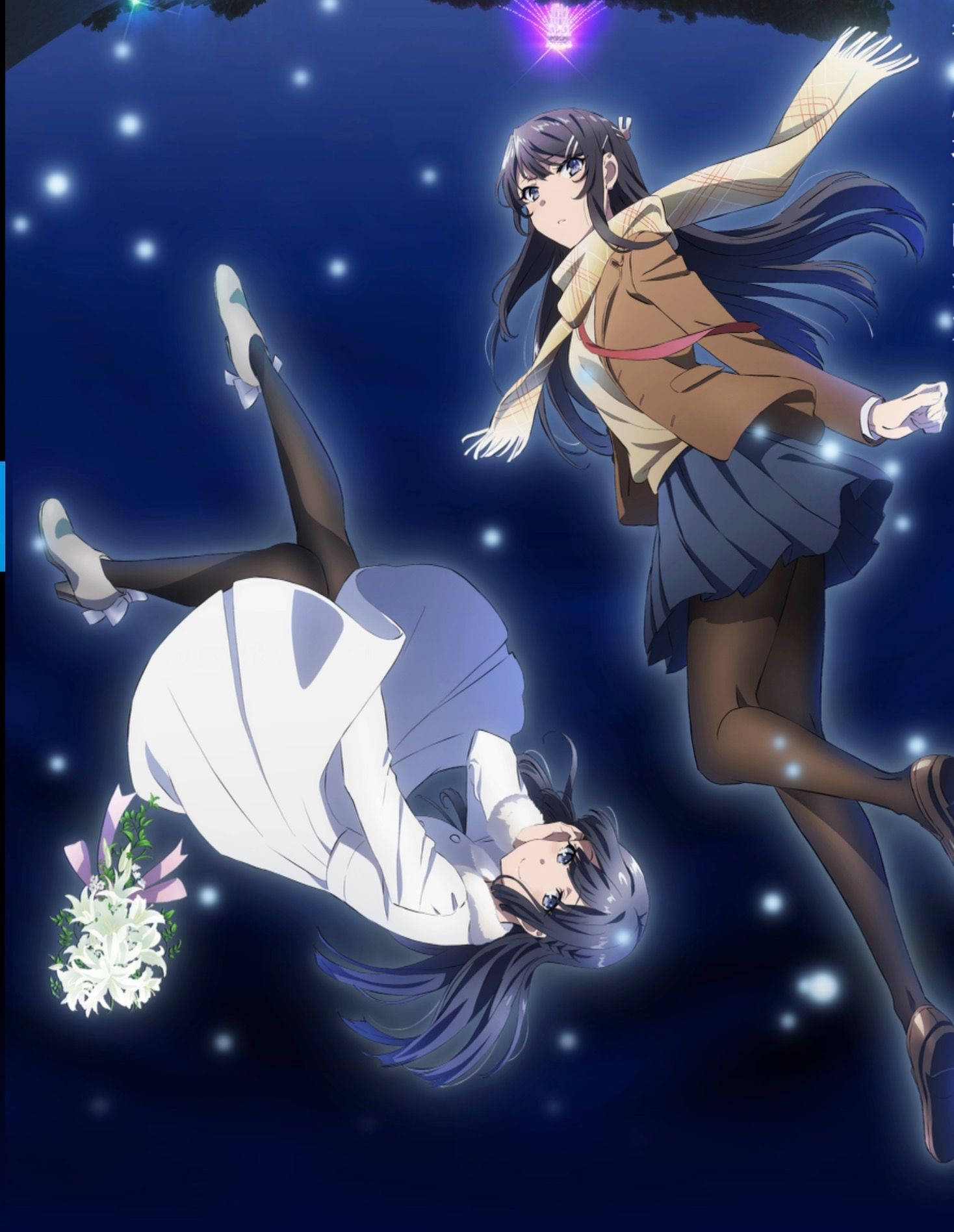 Rascal Does Not Dream Of Bunny Girl Senpai Shoko y Mai Fondos de pantalla