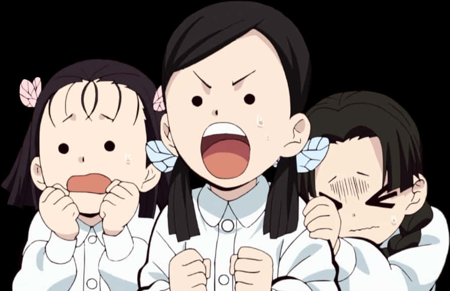 Reacción emocional de los hermanos Kamado de Demon Slayer Fondos de pantalla