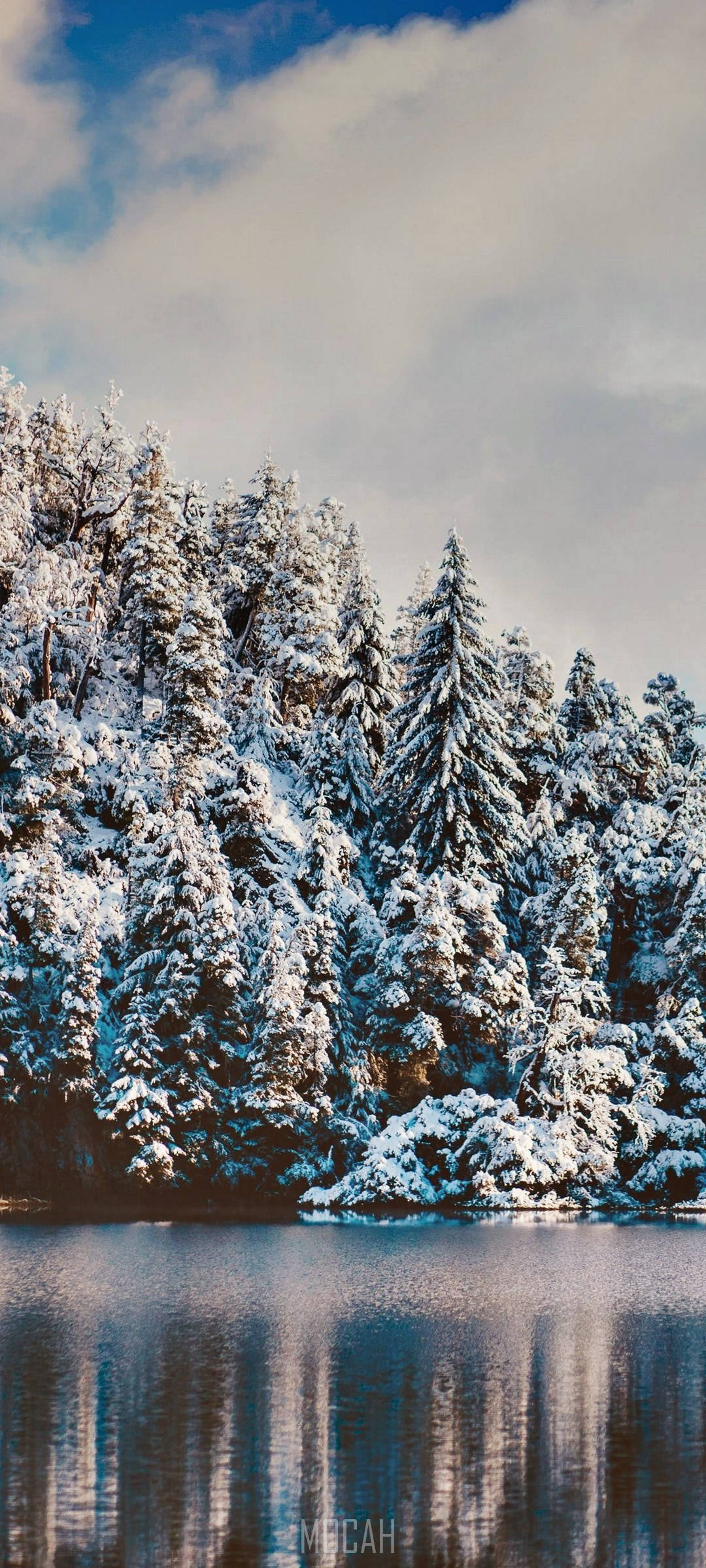 Realme 7 Pro Bosque Nevado Fondos de pantalla