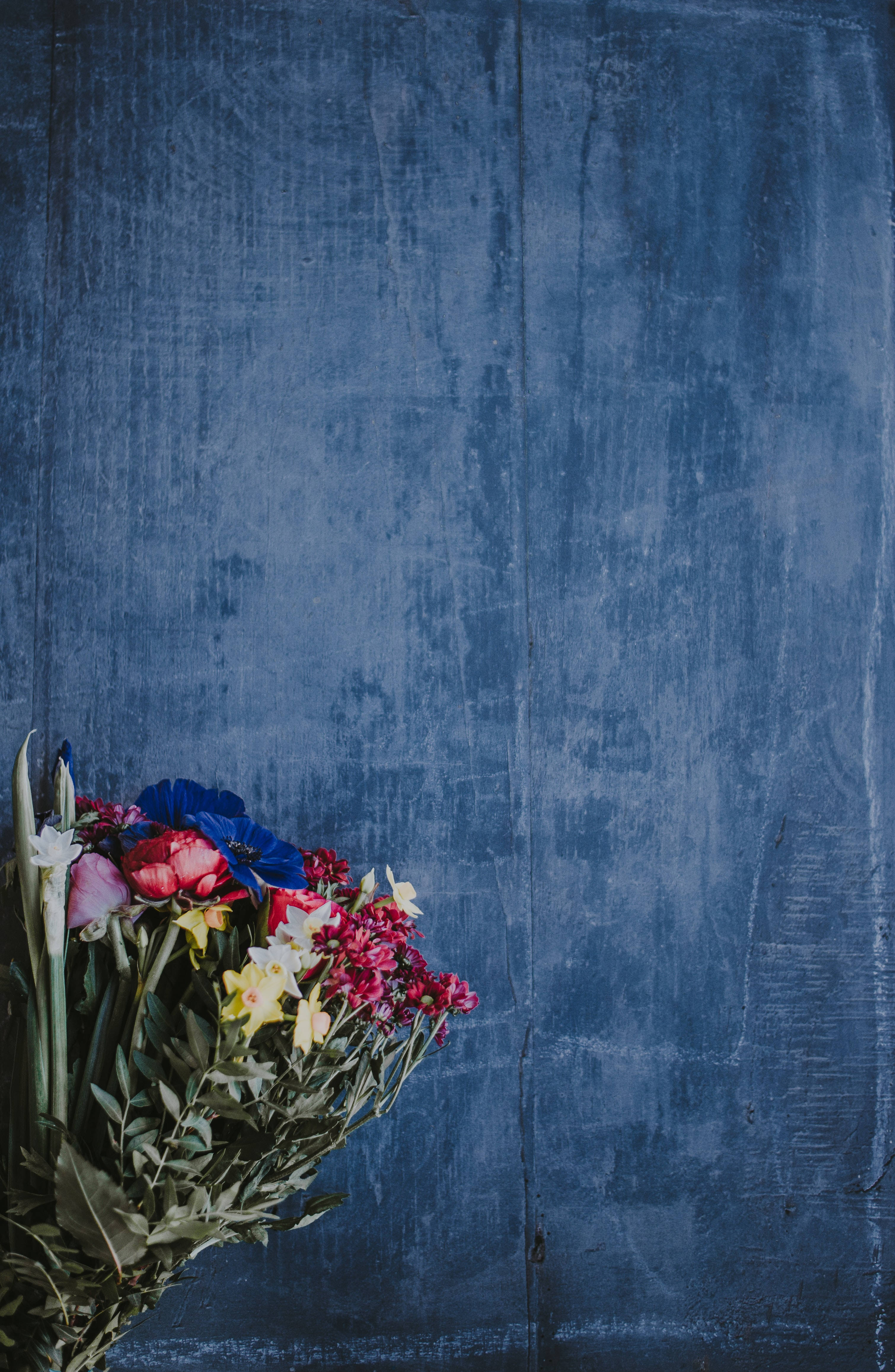 Redmi 4K Fondo de Flores Fondos de pantalla