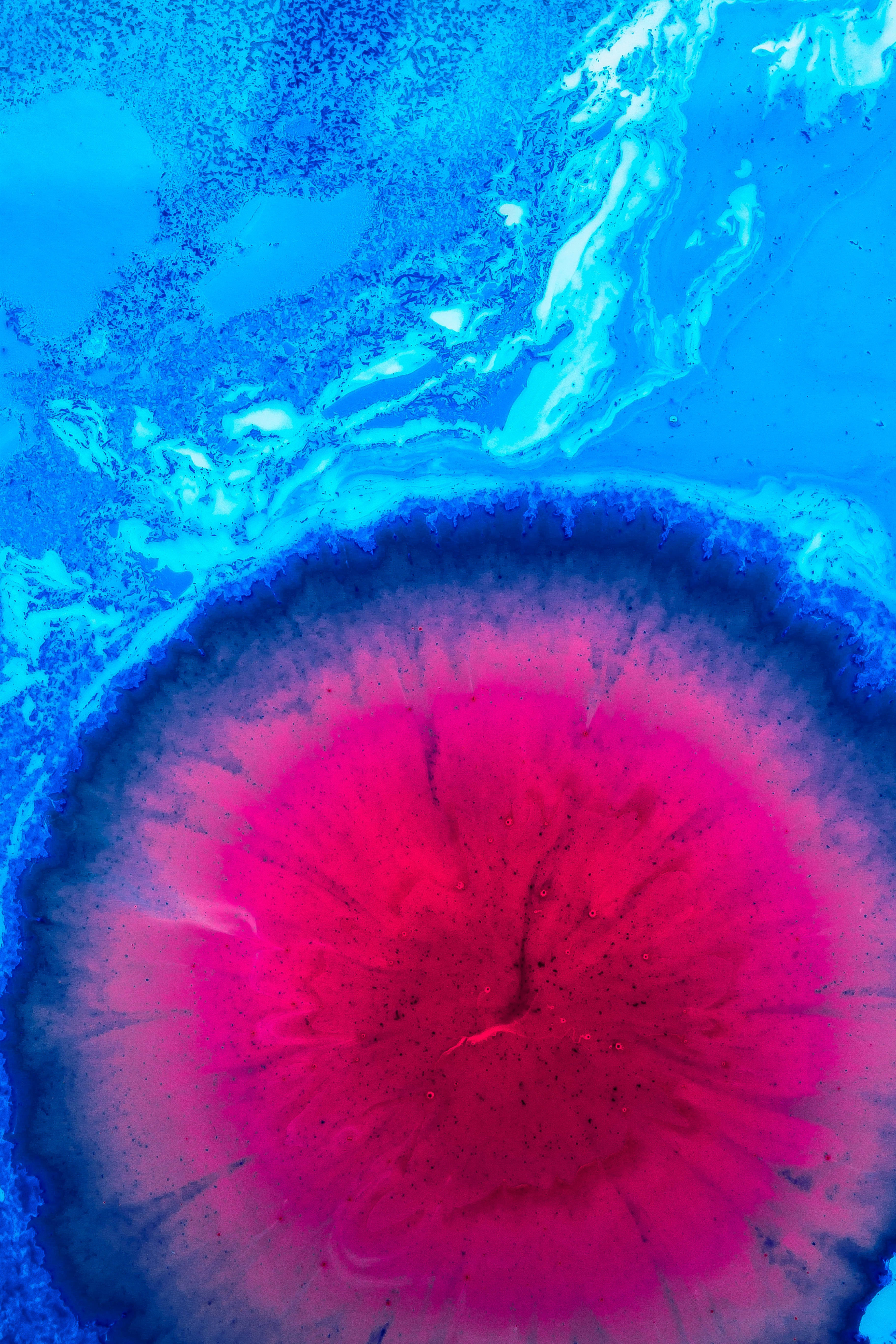 Redmi 4K Fondo de Vela Borroso Fondos de pantalla