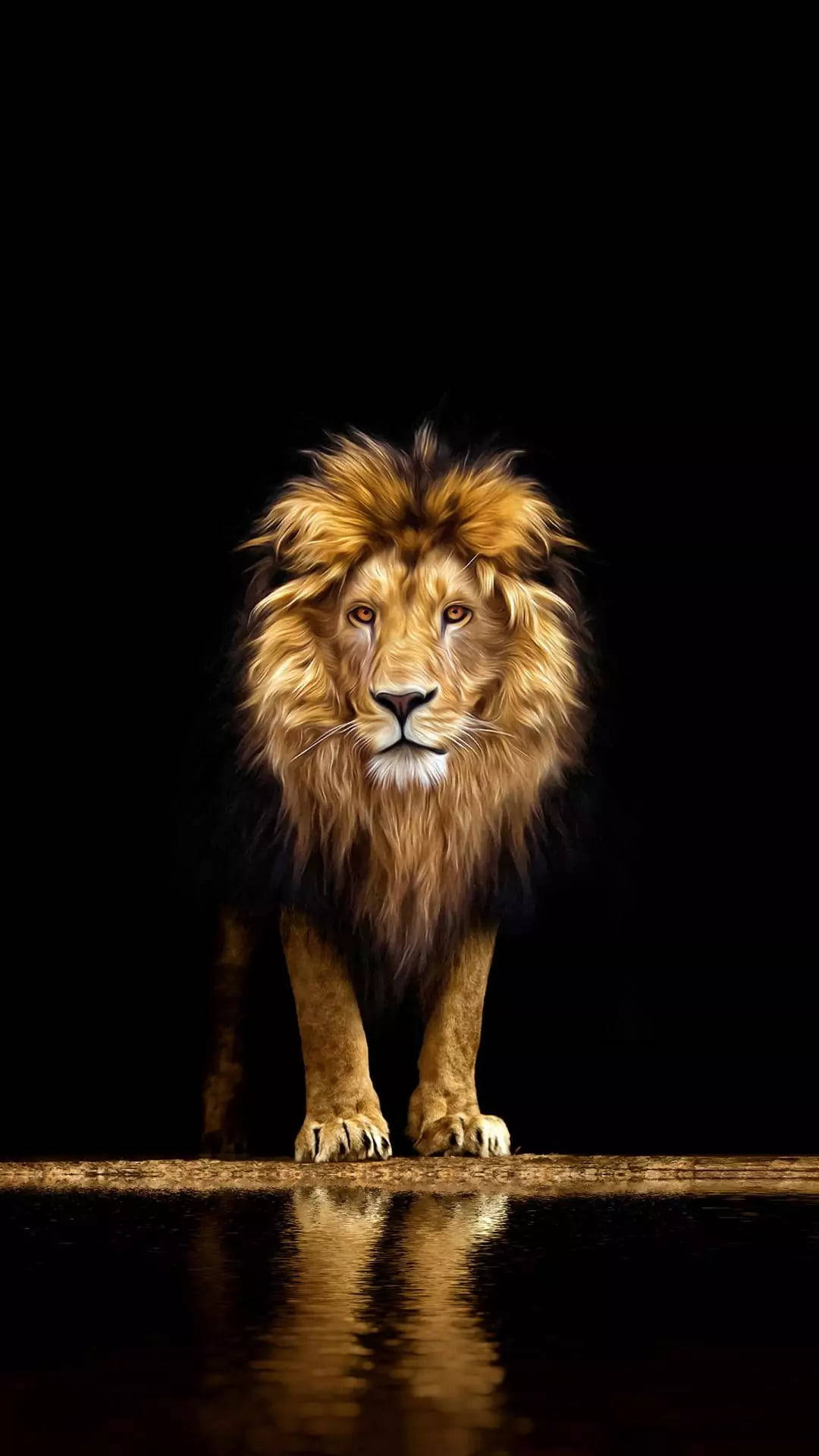 Reflexión León Teléfono Fondos de pantalla