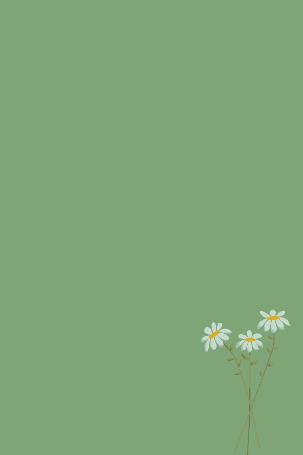 Relájate y desconecta con este estilo verde salvia Fondos de pantalla