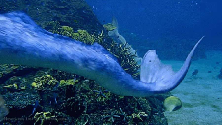 Remolinos Hipnotizantes de Sirena Bajo el Mar Azul Profundo Fondos de pantalla