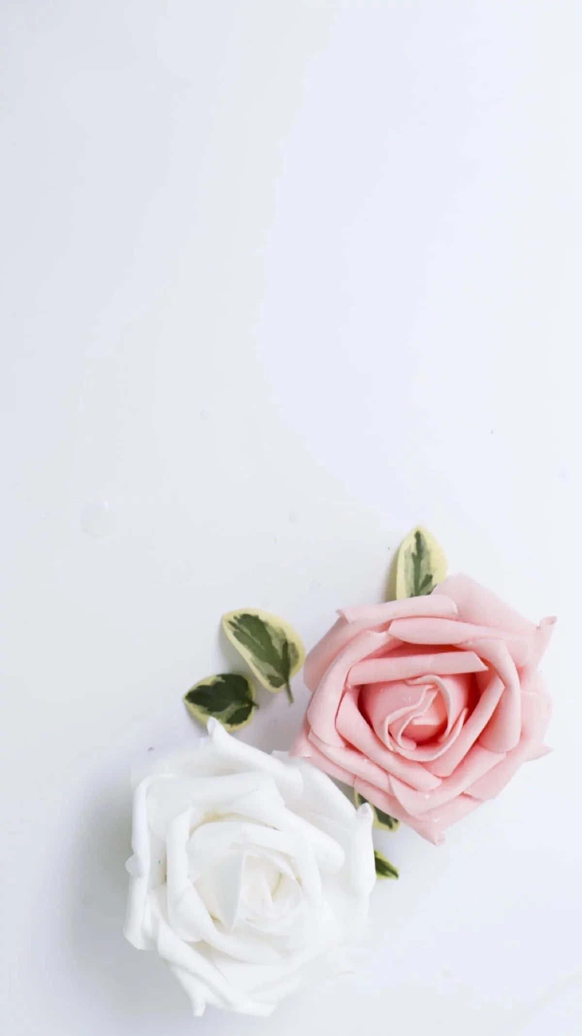 Renueva tu Mente y Estilo con el Blanco Estético Fondos de pantalla