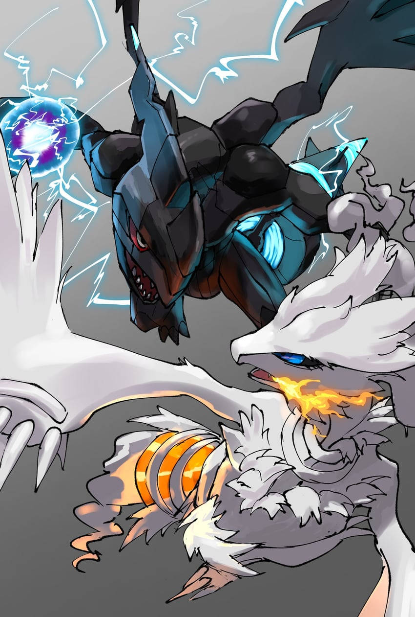 Reshiram y Zekrom en épico enfrentamiento Fondos de pantalla