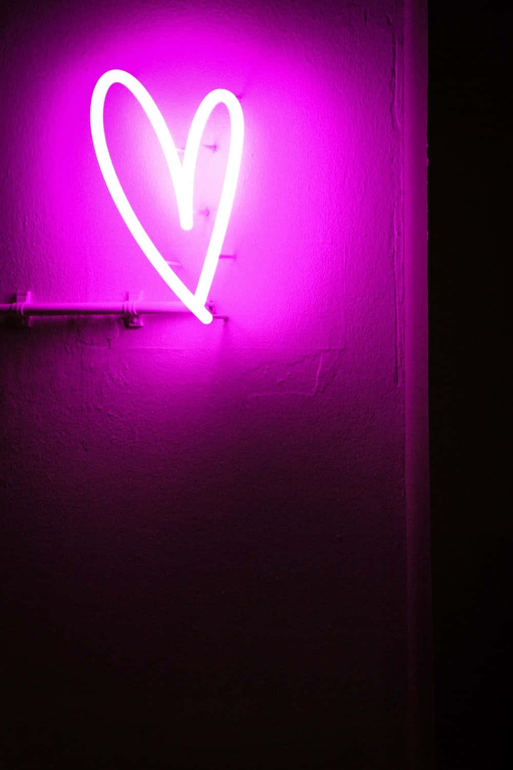 Retrato de Corazón de Neón LED Púrpura Fondos de pantalla