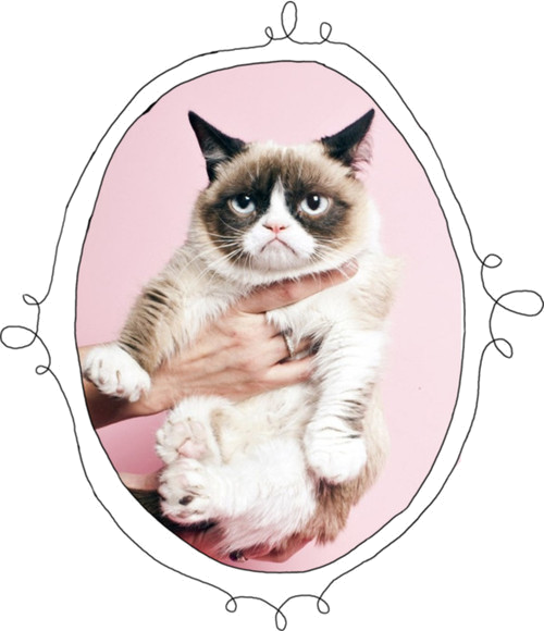 Retrato de Gato Gruñón Fondos de pantalla