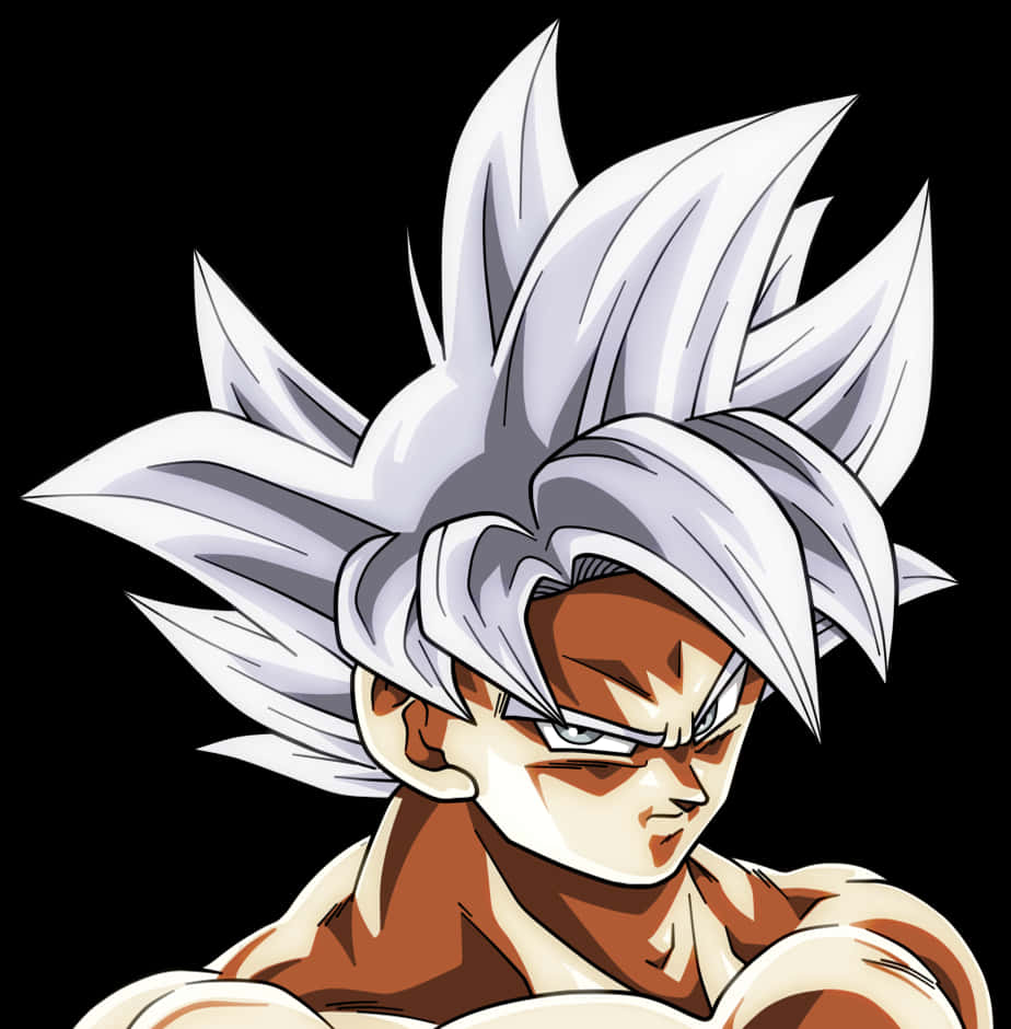 Retrato de Goku Ultra Instinto Fondos de pantalla