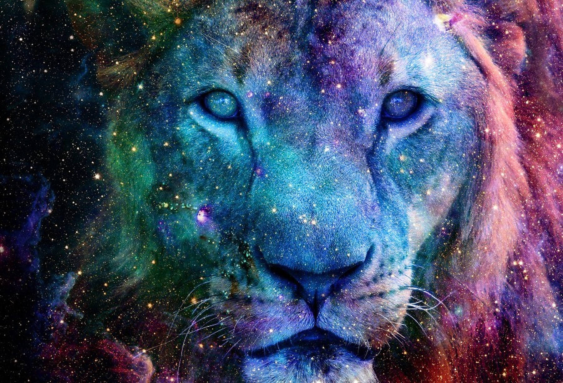 Retrato de León Galáctico Fondos de pantalla