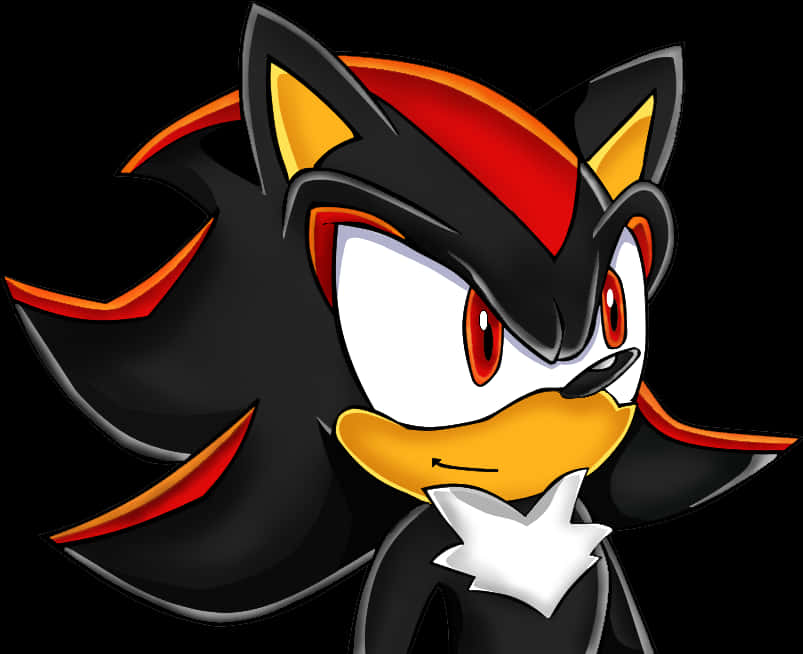 Retrato de Shadow the Hedgehog Fondos de pantalla