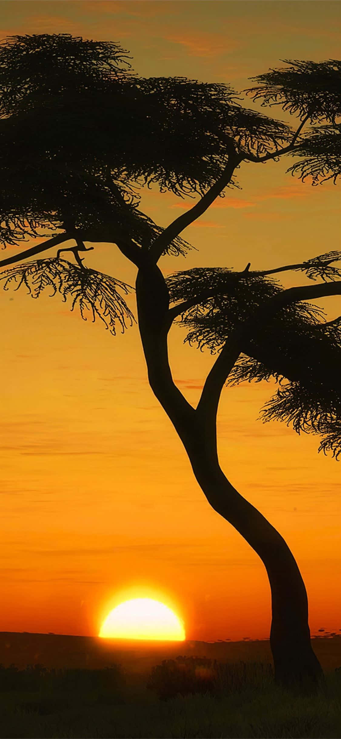 Retrato de Silueta de Árbol en Masai Mara Fondos de pantalla