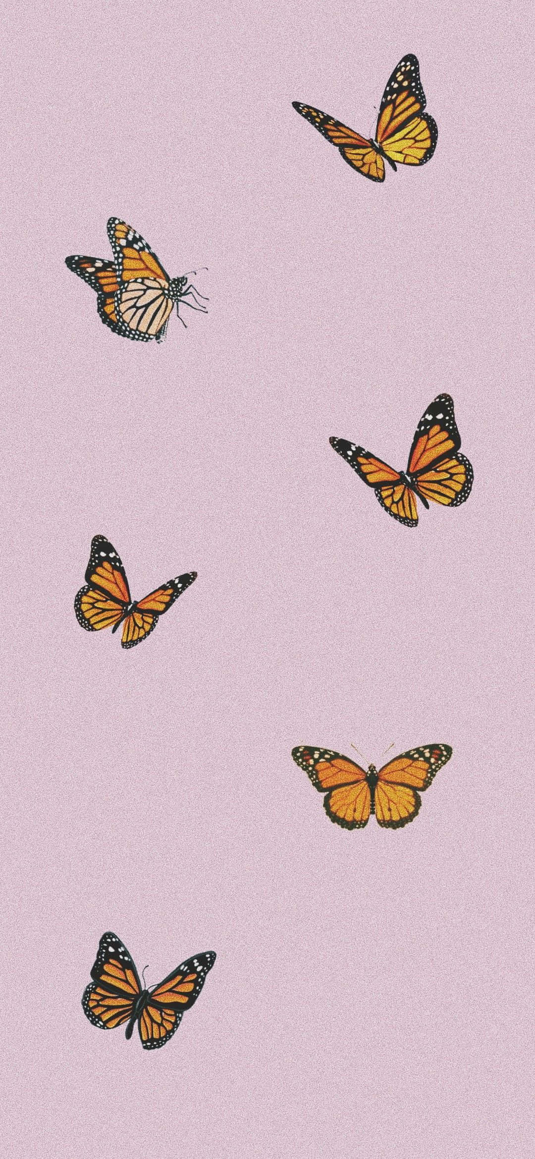 Revoloteando Libre y Feliz Fondos de pantalla