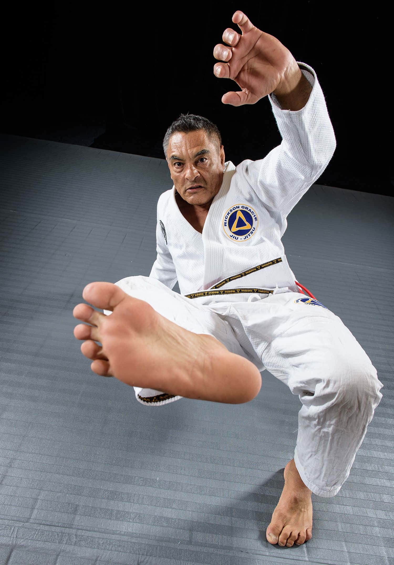 Rickson Gracie - Leyenda del Jiu-Jitsu Brasileño Fondos de pantalla