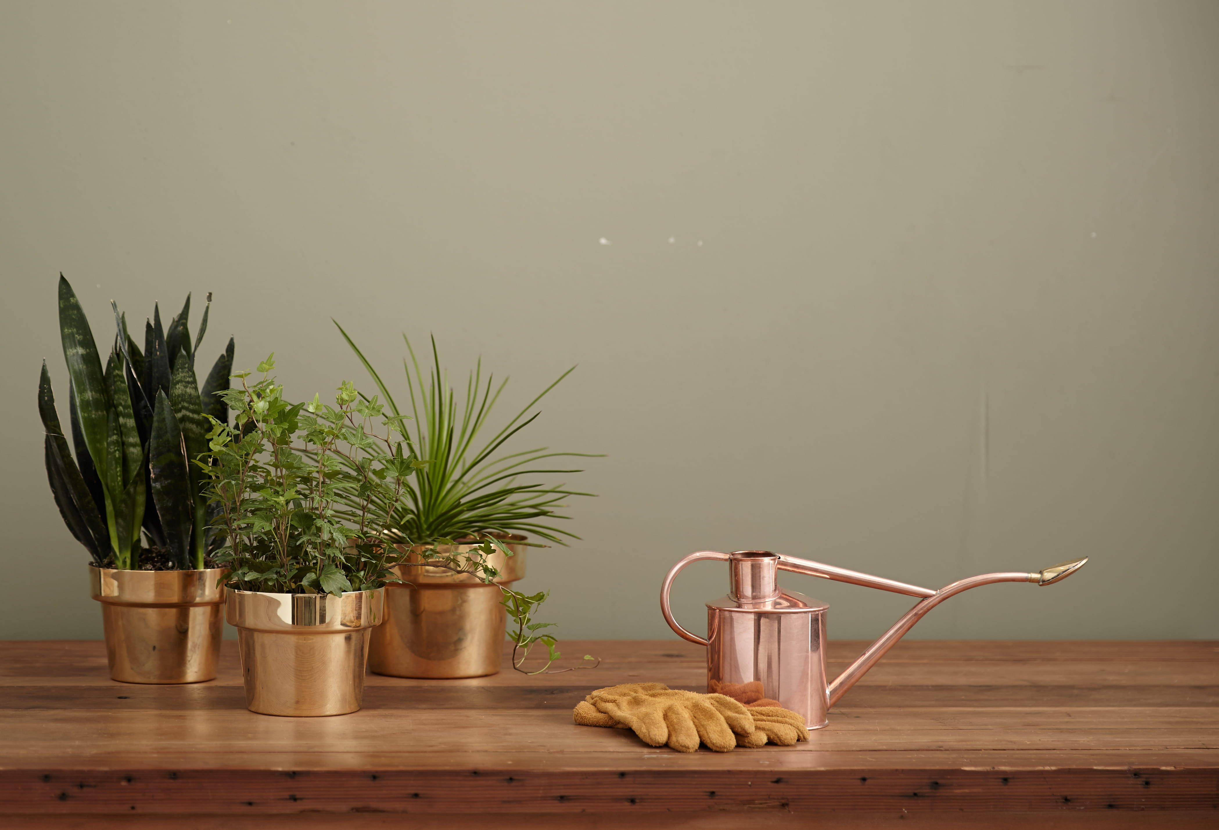 Rincón Estético del Hogar con Tres Floreros Fondos de pantalla