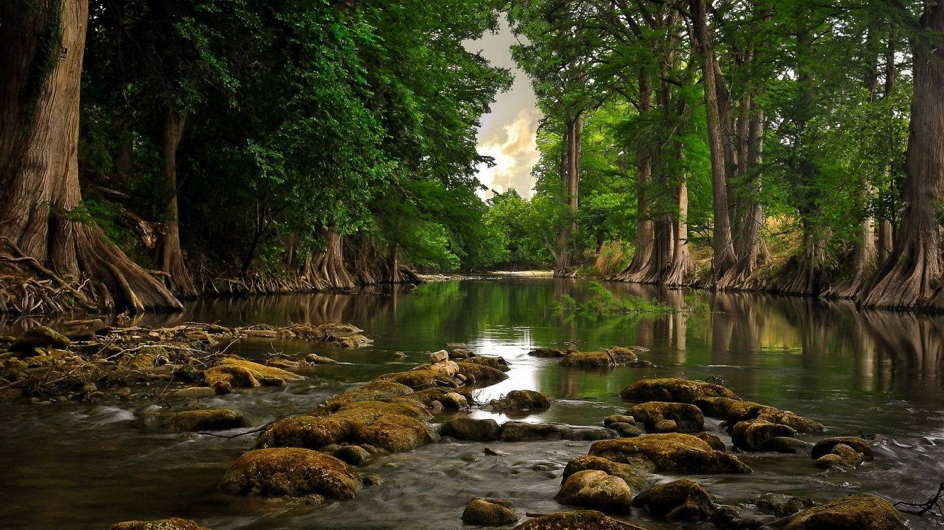 Río de Bosque Rocoso Fondos de pantalla