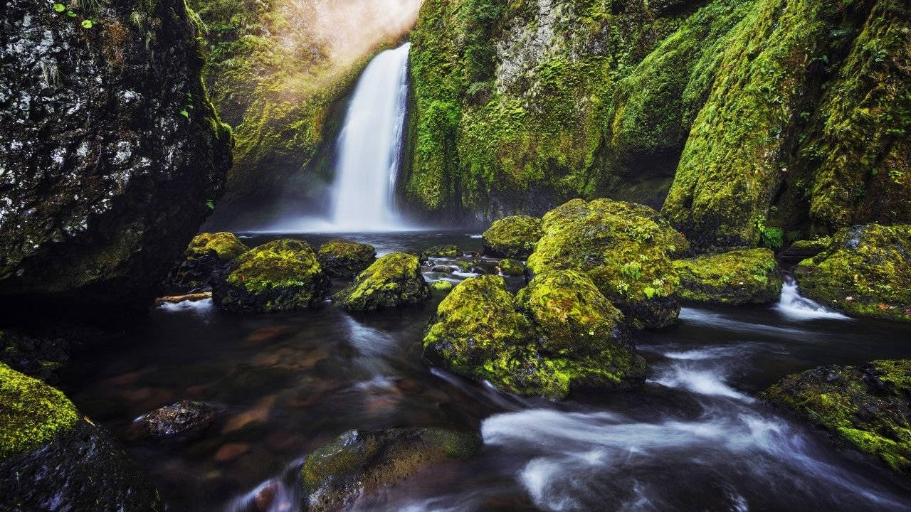 Rocas Musgosas en 4K Naturaleza Fondos de pantalla