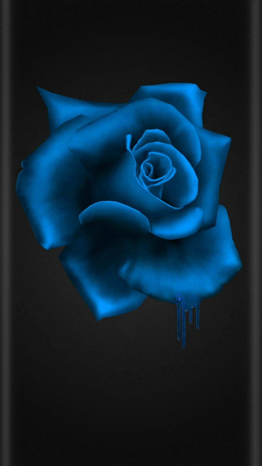 Rosa Azul Sedosa Fondos de pantalla
