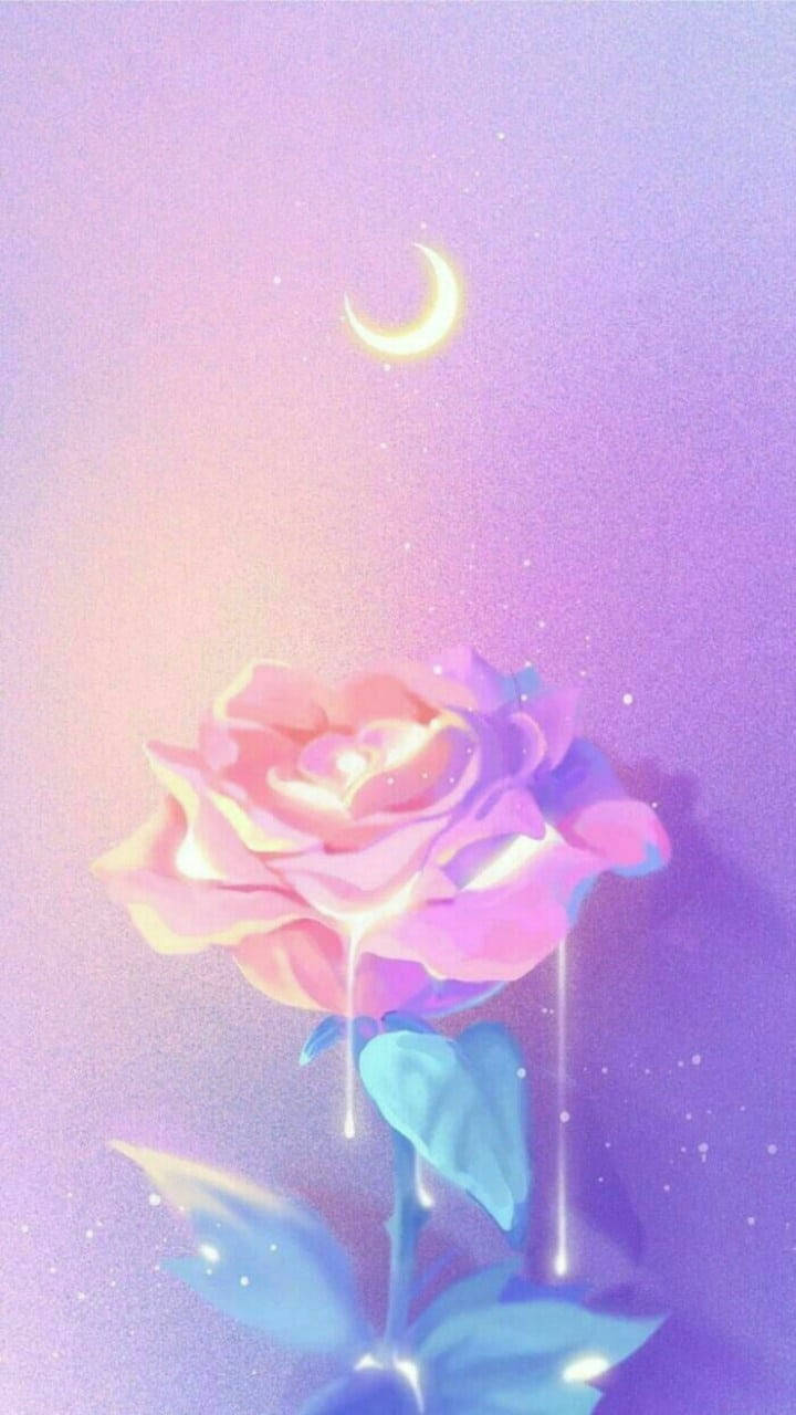 Rosa Derritiéndose en Estética Suave Fondos de pantalla