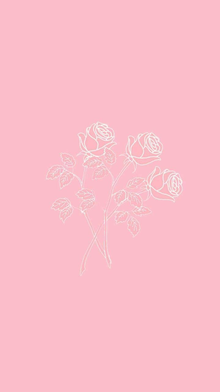 Rosa Estética Rosa para iPhone Fondos de pantalla