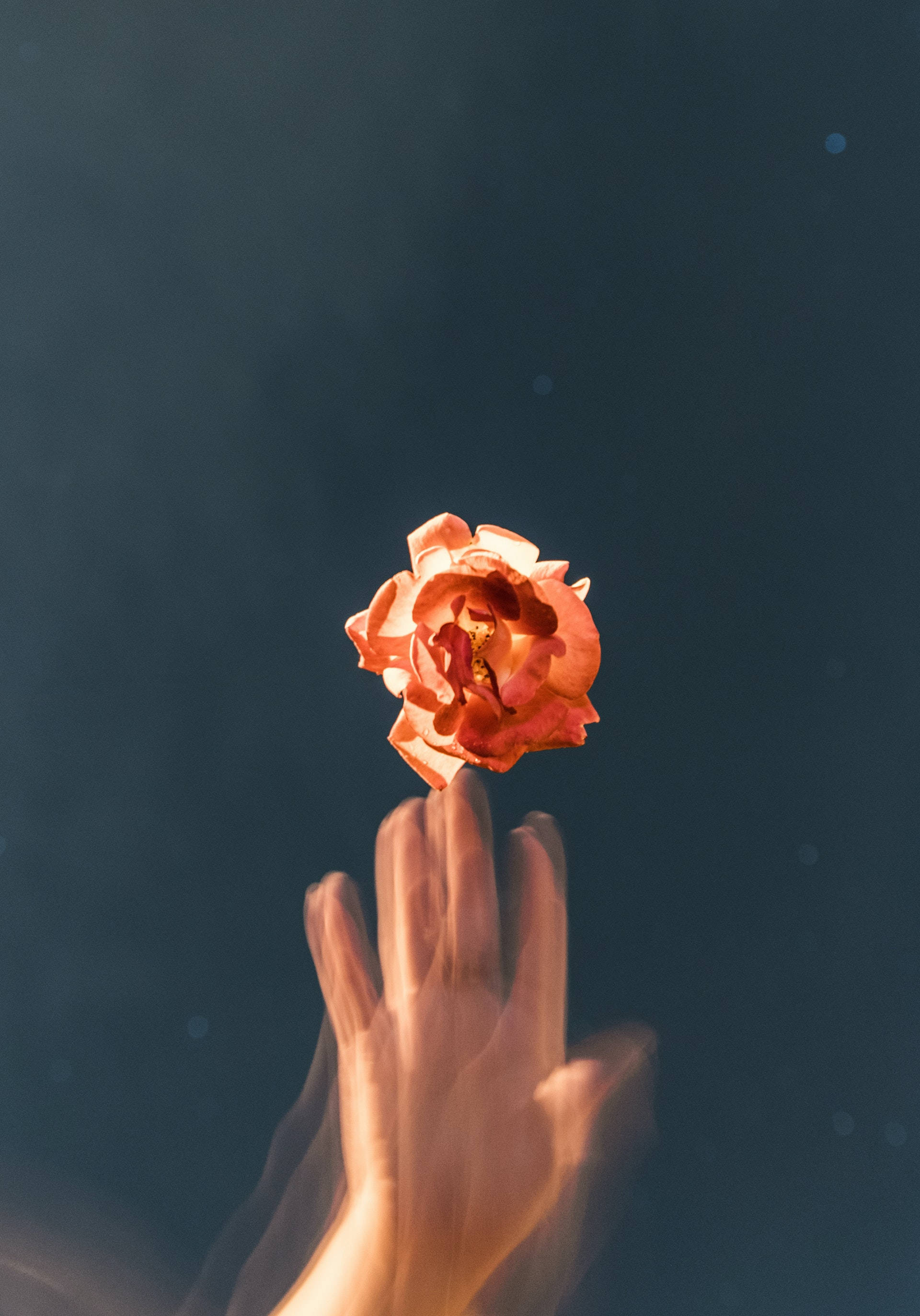 Rosa naranja con efecto glitch estético Fondos de pantalla