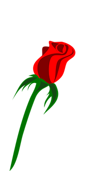 Rosa roja fondo negro Fondos de pantalla