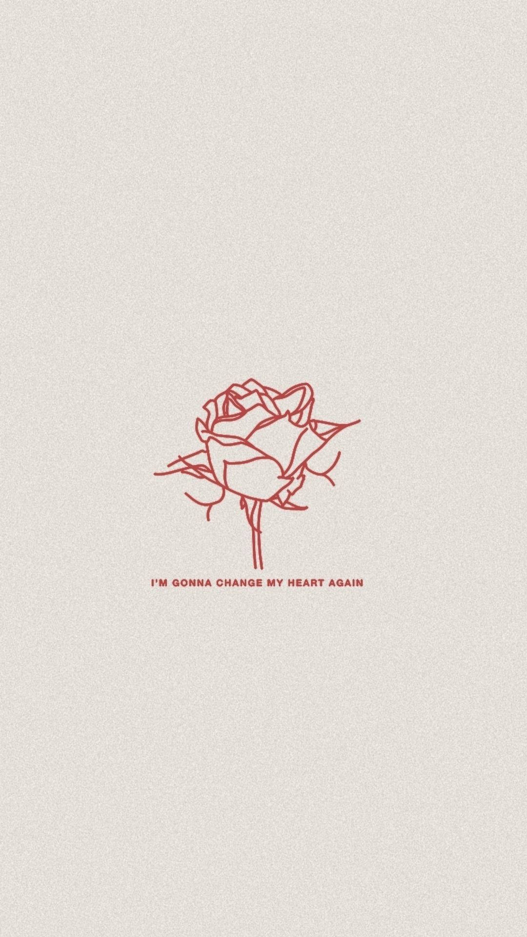 Rosa Roja Minimalista Fondos de pantalla