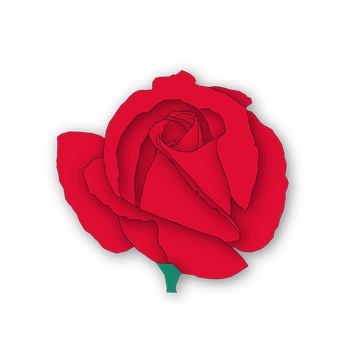 Rosa roja sobre fondo negro Fondos de pantalla