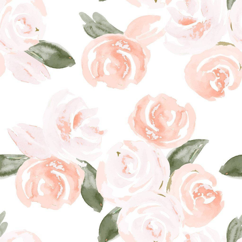 Rosas Acuarela Rosa Estética Boho Fondos de pantalla
