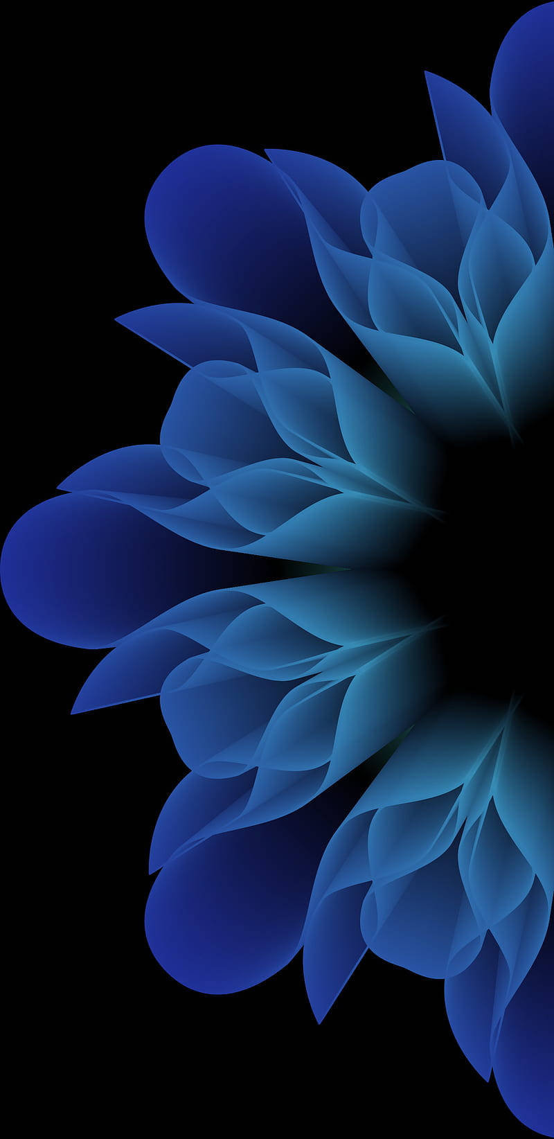 Rosas Azules en Samsung Galaxy Note 7 Fondos de pantalla