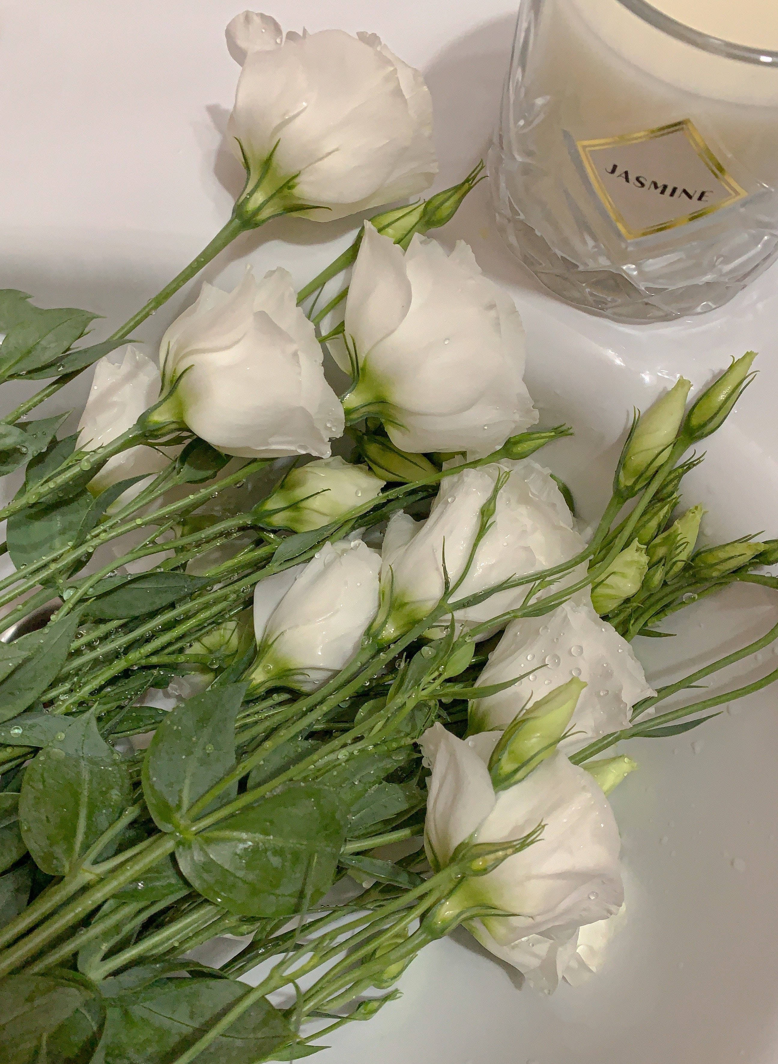 Rosas Blancas Flores Fondos de pantalla