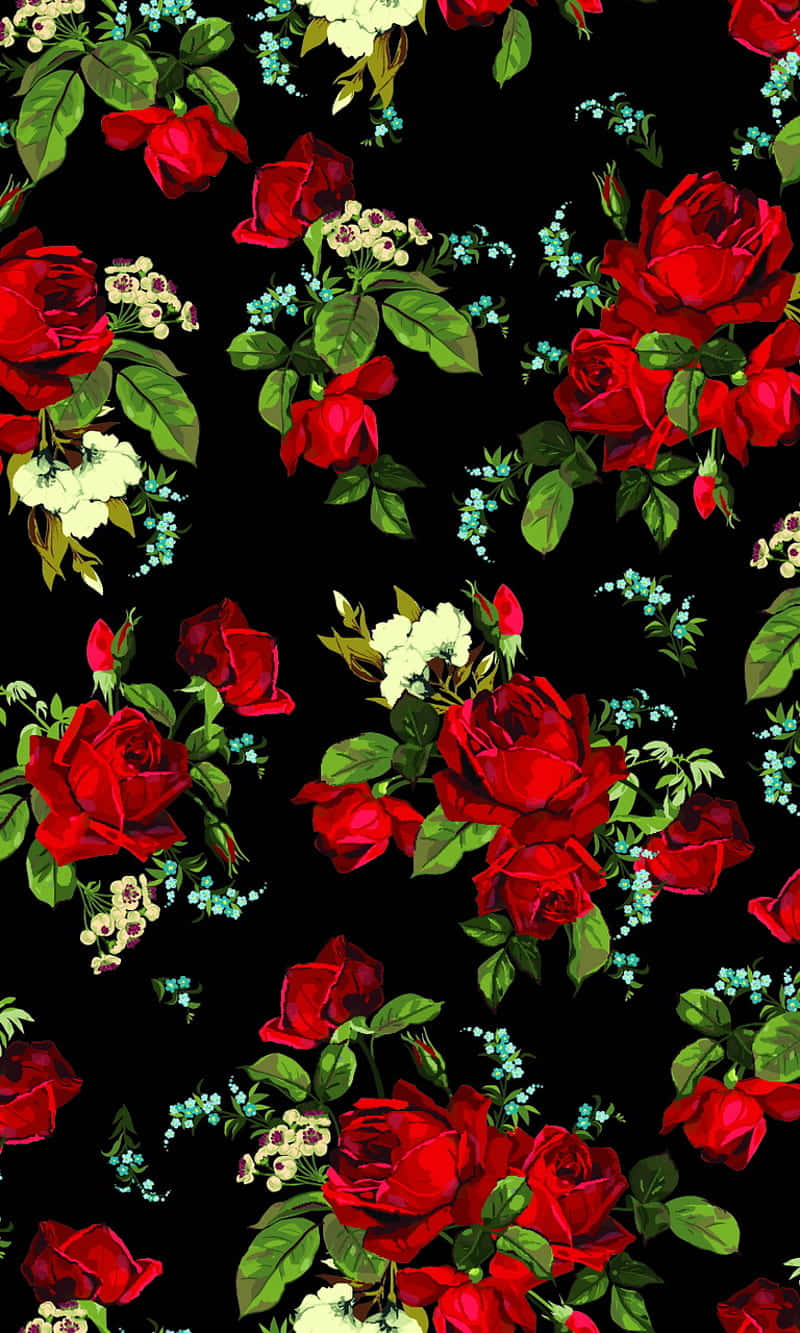 Rosas Rojas Brillantes Perfectas para Cualquier Ocasión Fondos de pantalla