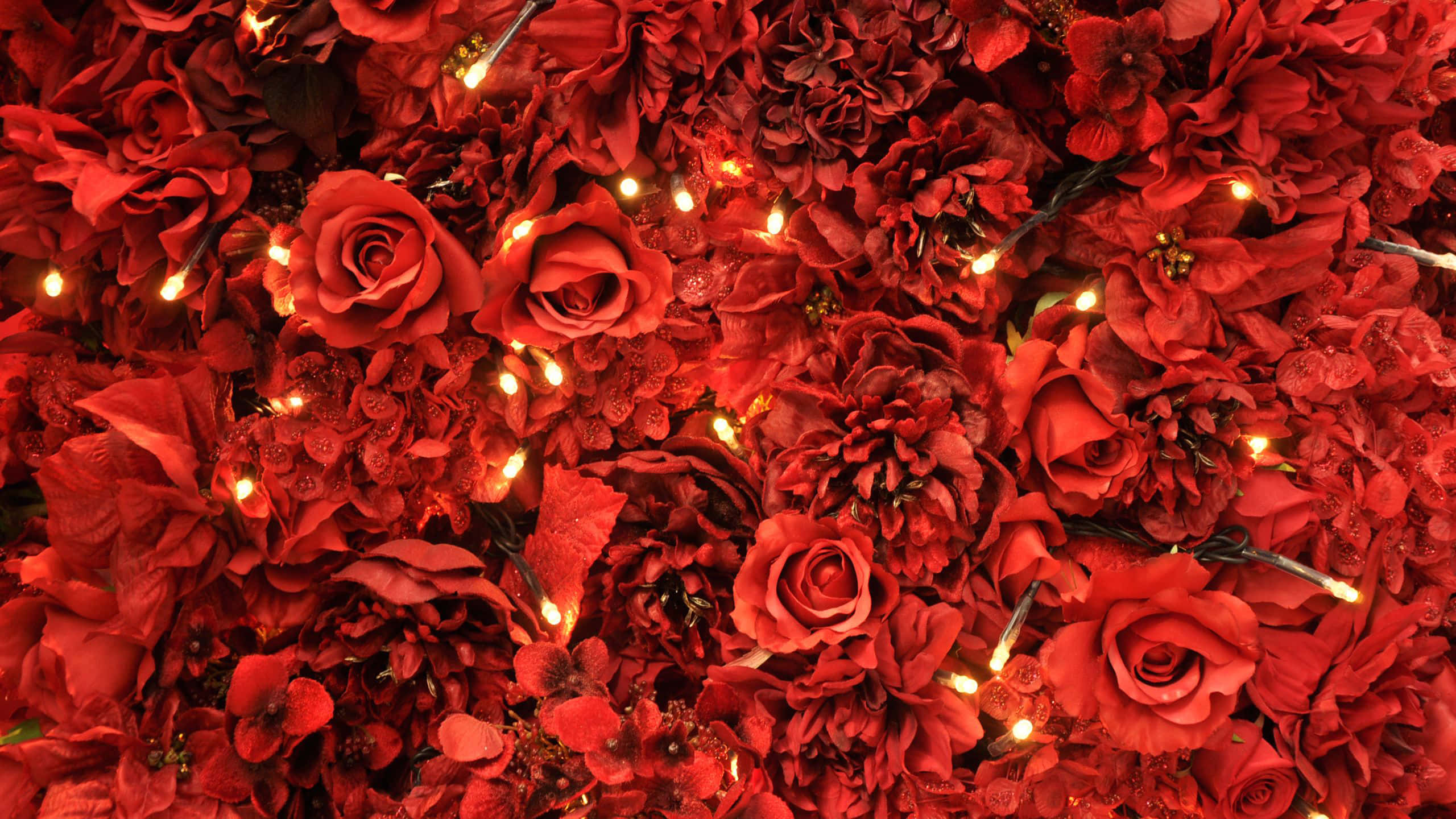 Rosas Rojas Estética Roja Fondos de pantalla