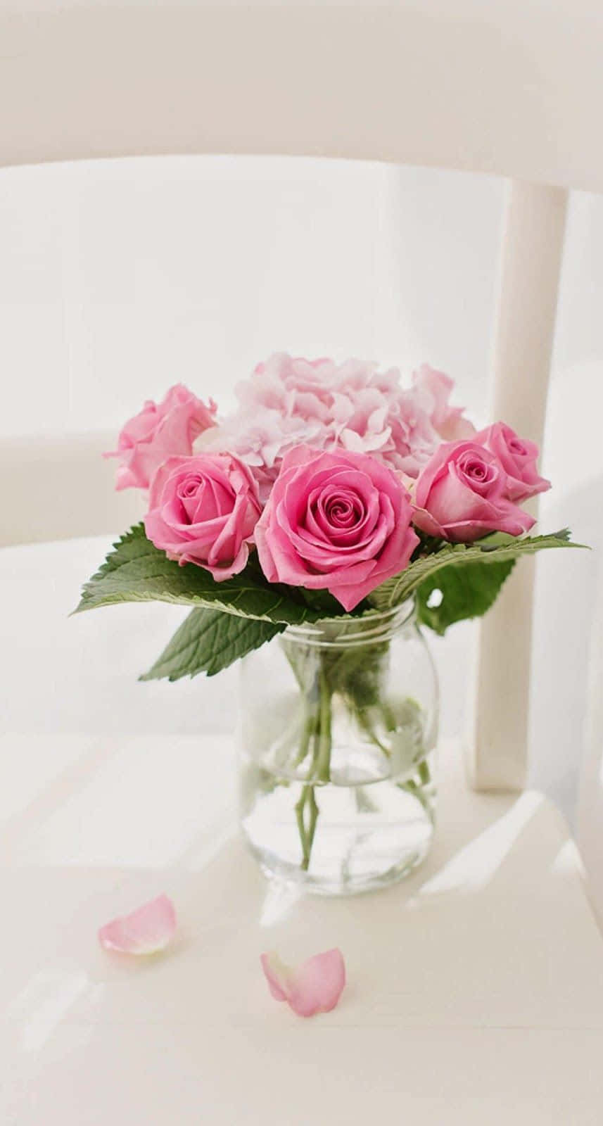 rosas rosadas en un florero sobre una silla blanca Fondos de pantalla