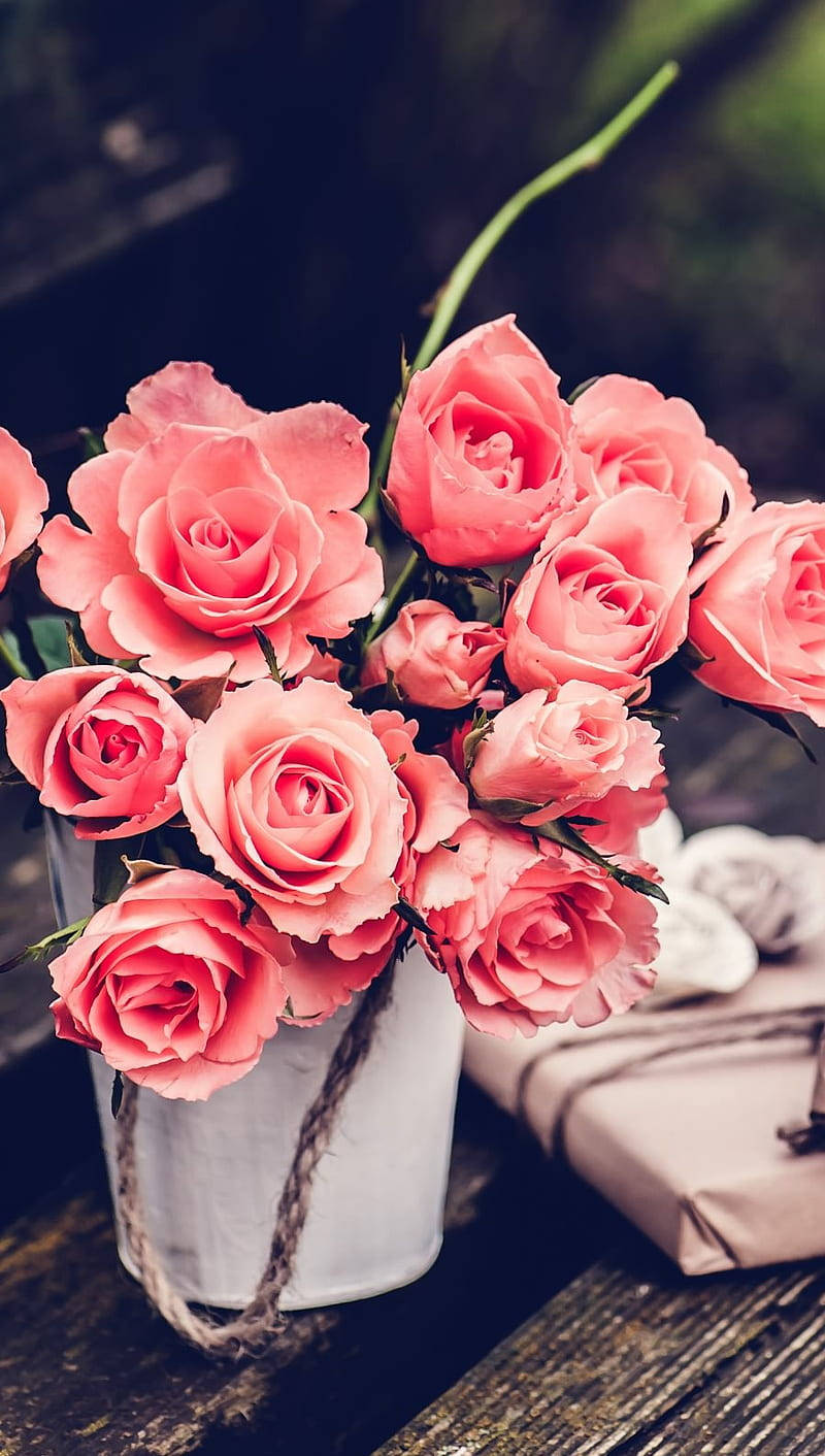 Rosas Rosadas Vintage Estética Floral Fondos de pantalla