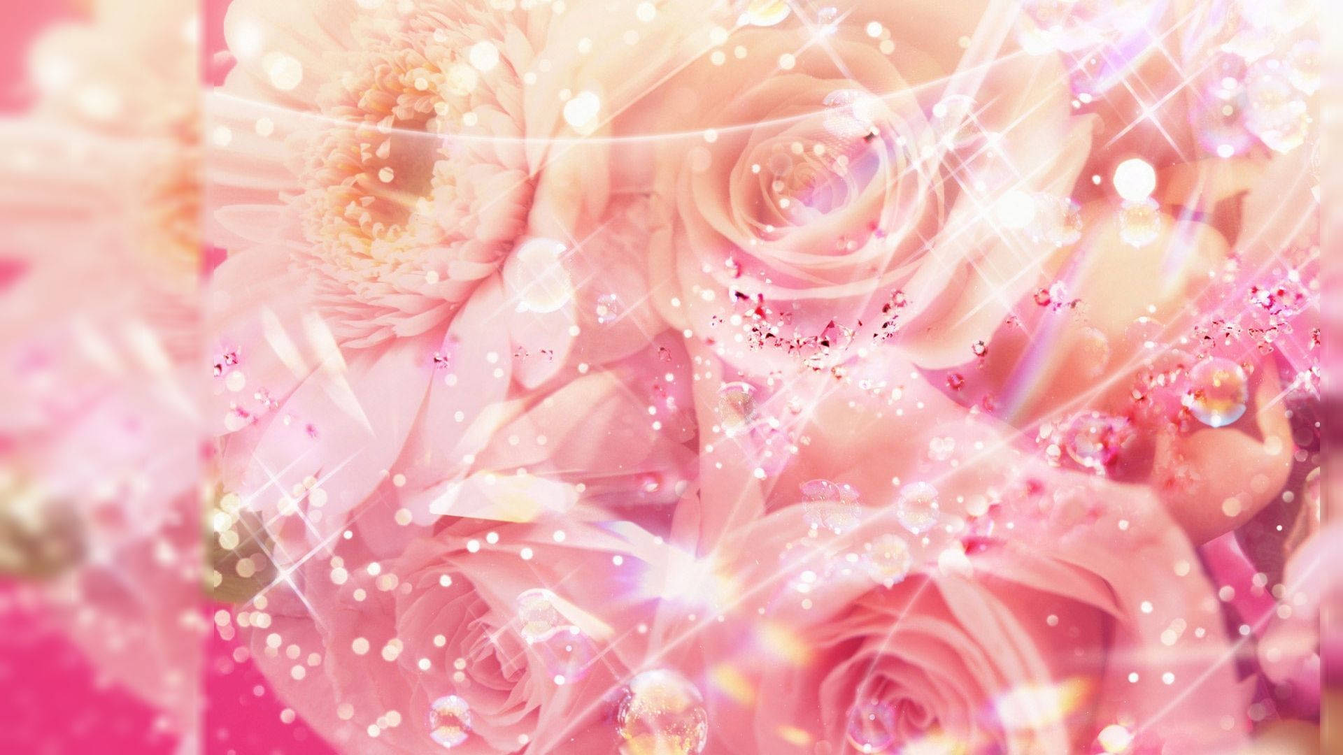 Rosas Tiernas y Femeninas Fondos de pantalla