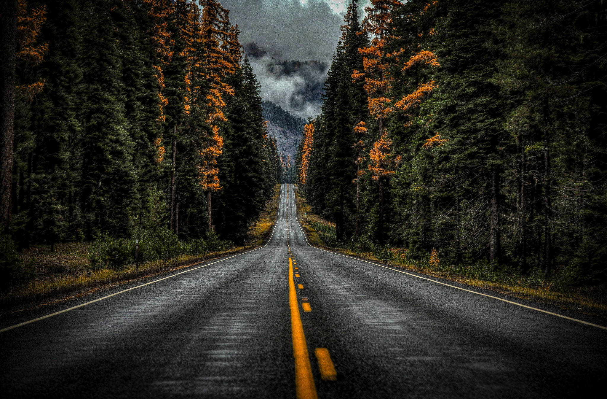 Ruta Estatal 410 de Washington Fondos de pantalla