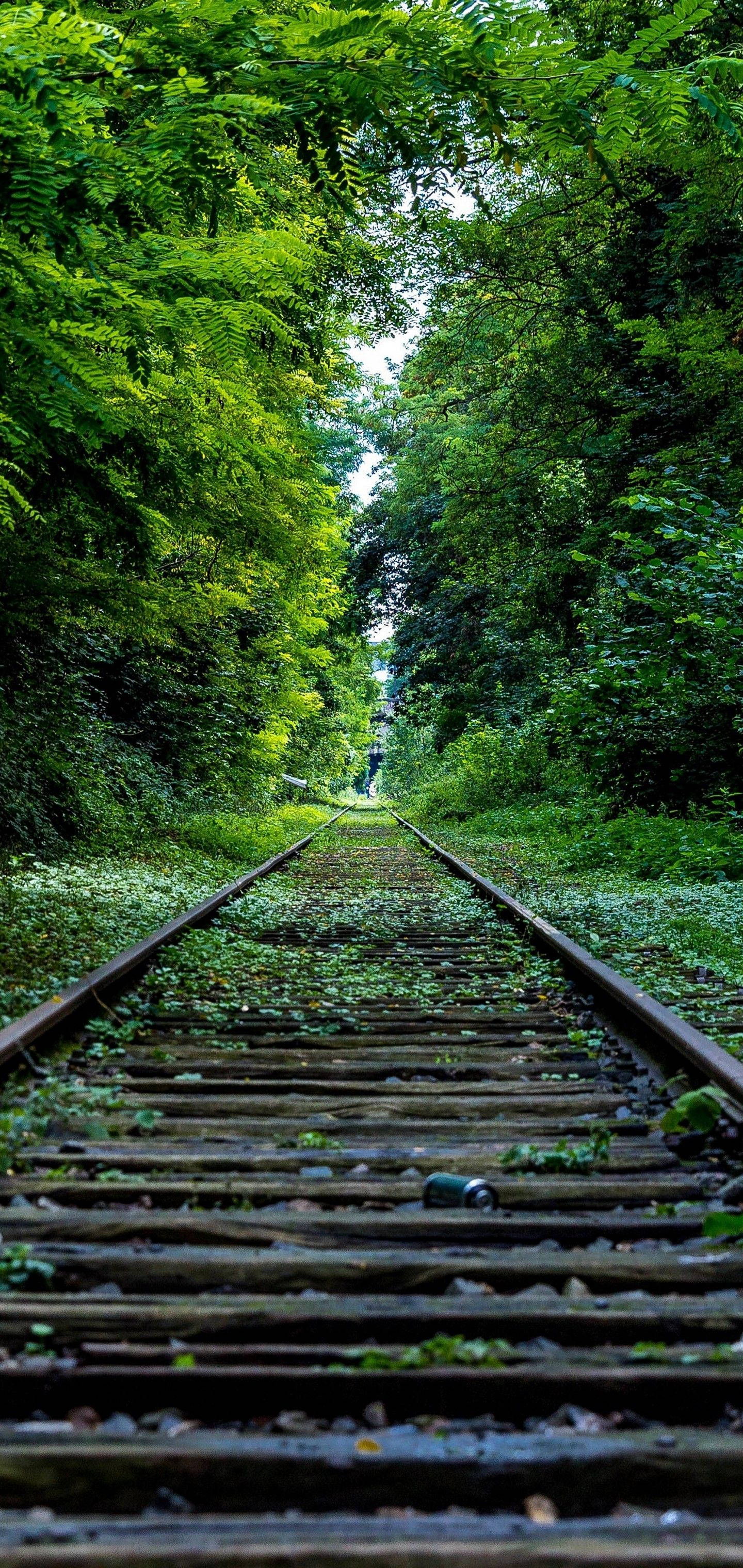 S10 Vía de Tren Árboles Verdes Fondos de pantalla