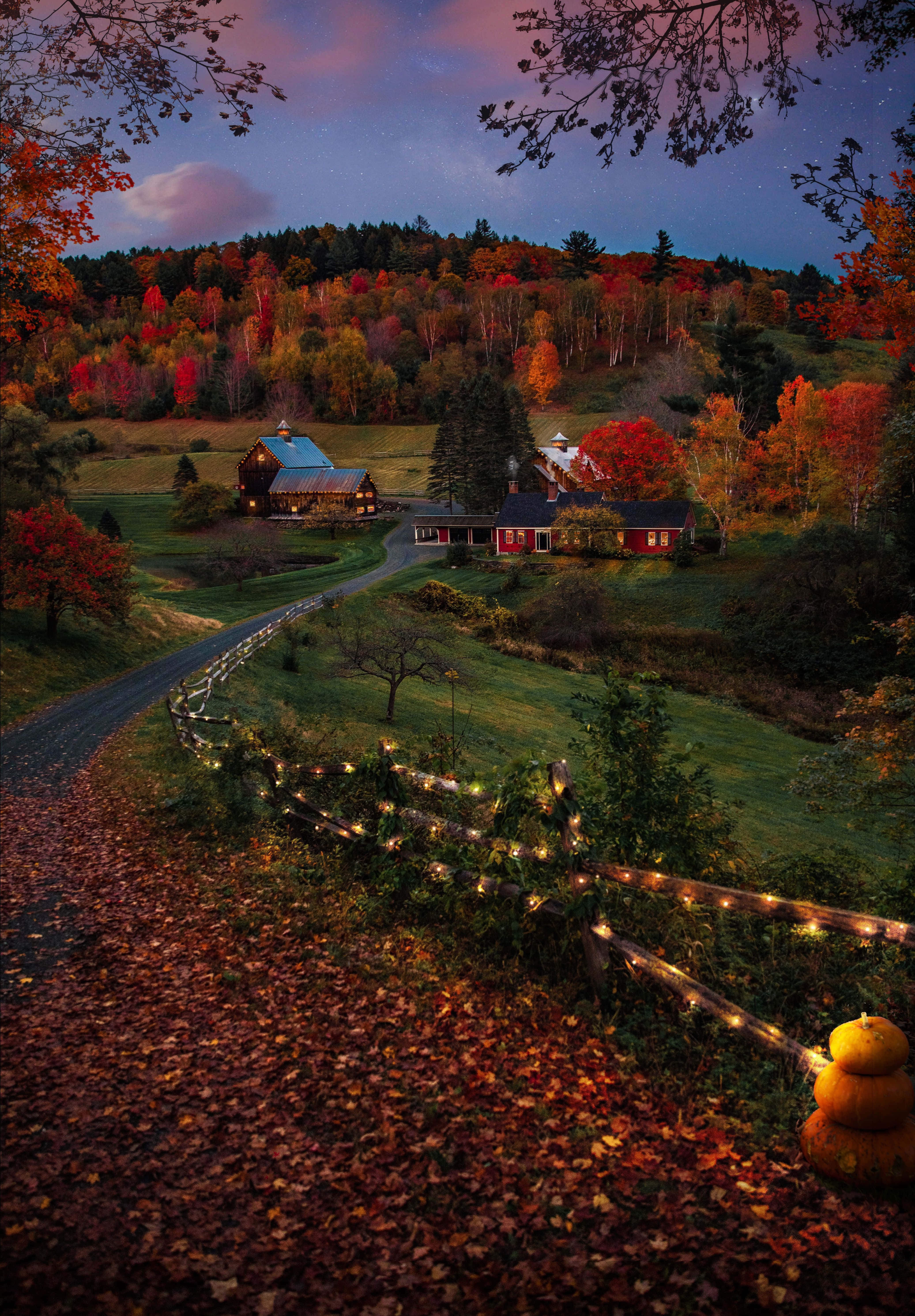 Saborea la belleza del otoño con esta vista pintoresca de los árboles Fondos de pantalla