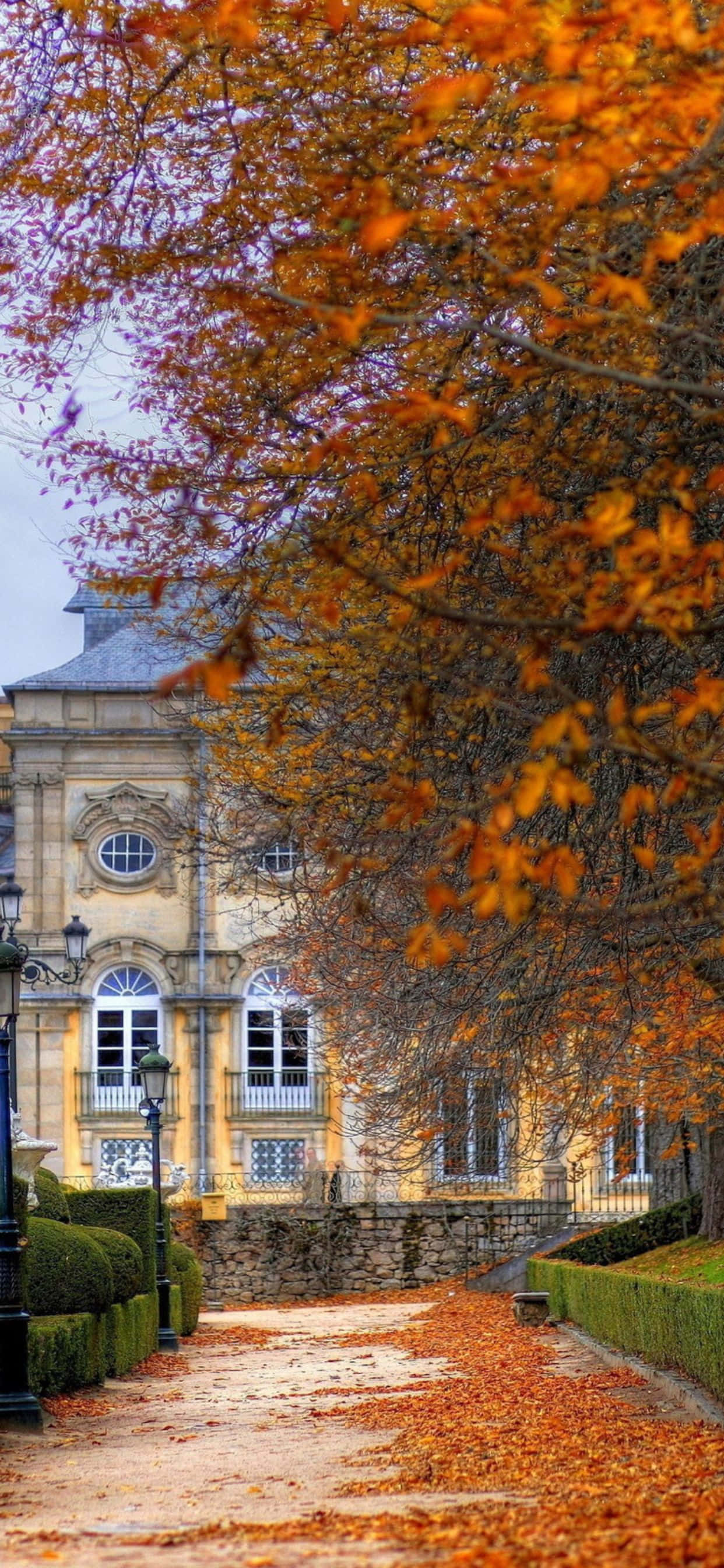 Saborea la belleza del otoño con el elegante iPhone Xs Max Fondos de pantalla